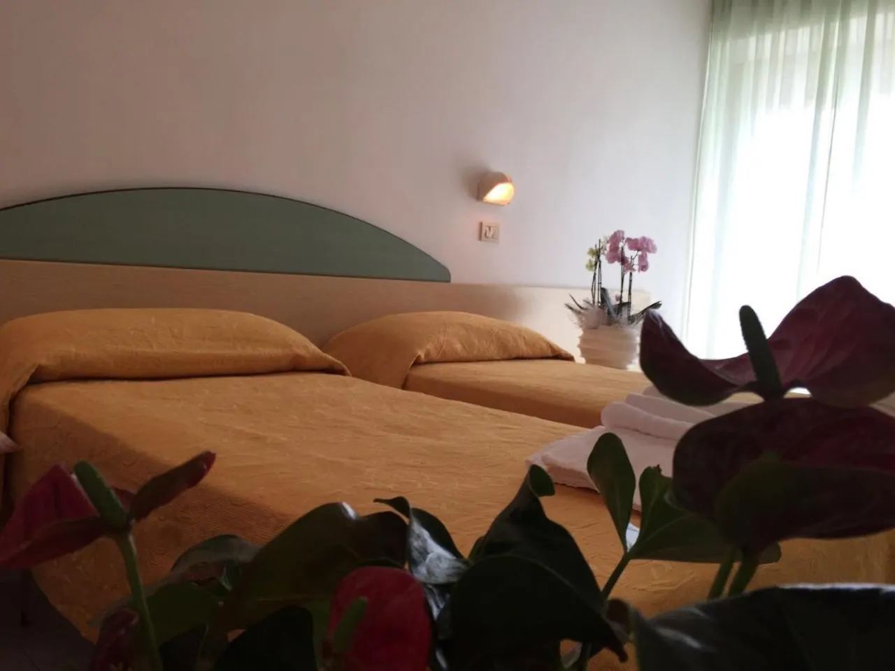 Medusa Hotel Misano Adriatico